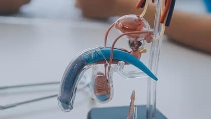 Urologia Reconstrutiva - Dr. Murilo Murata